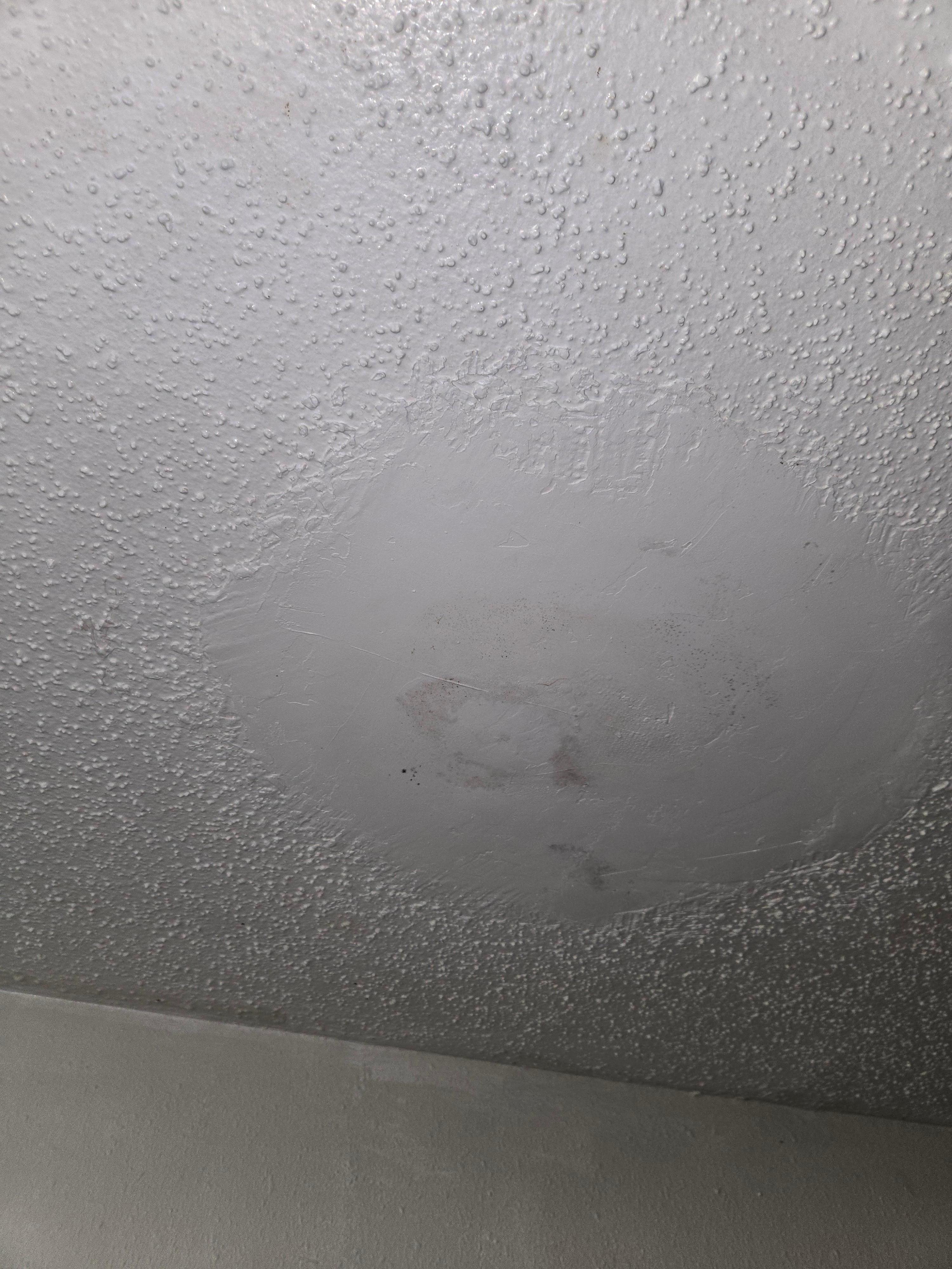 Mold on the ceiling