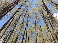 Great hiking trails nearby