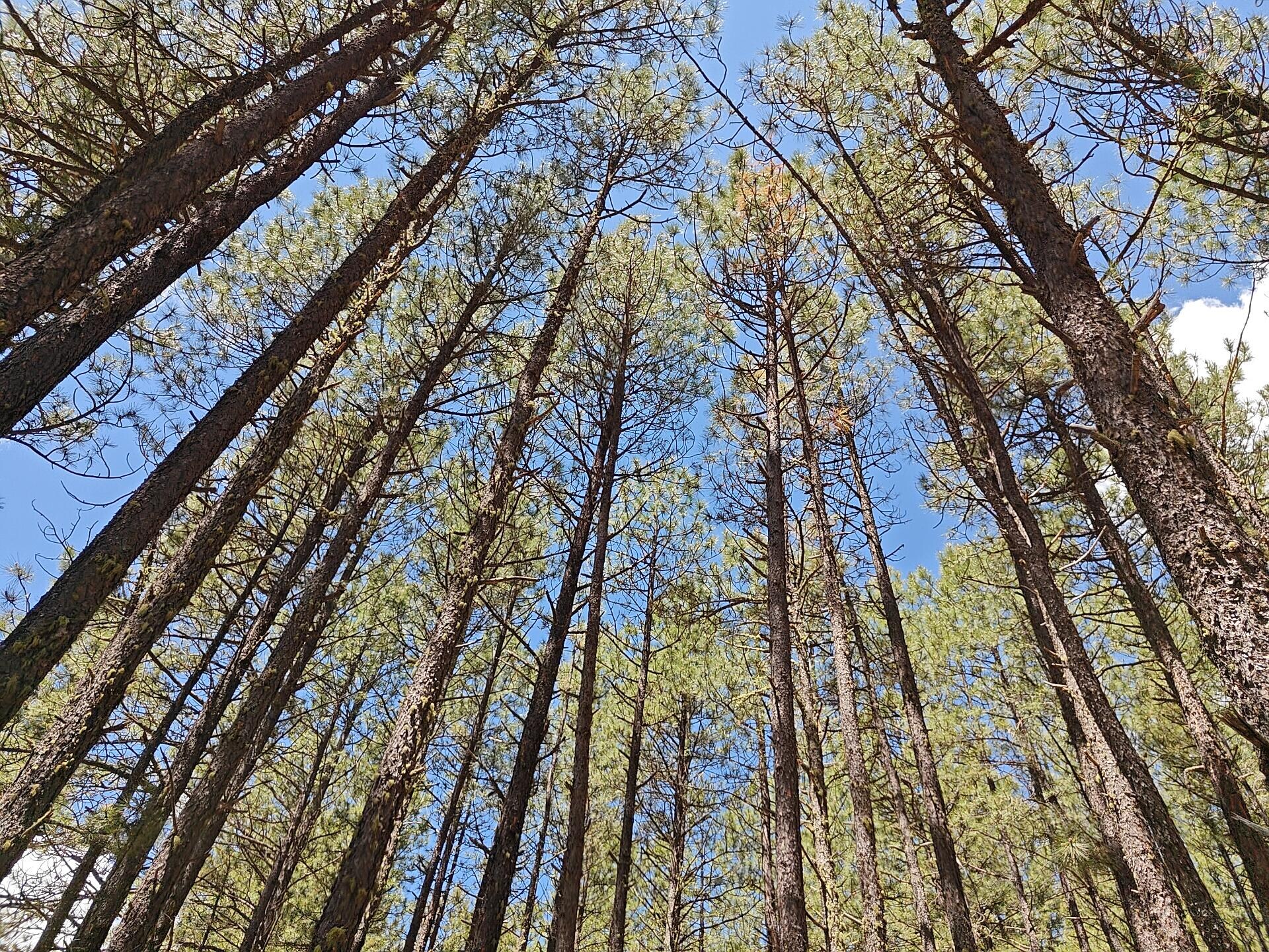 Great hiking trails nearby 