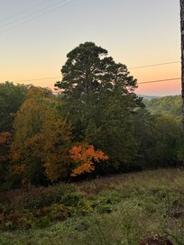 First morning out the front door