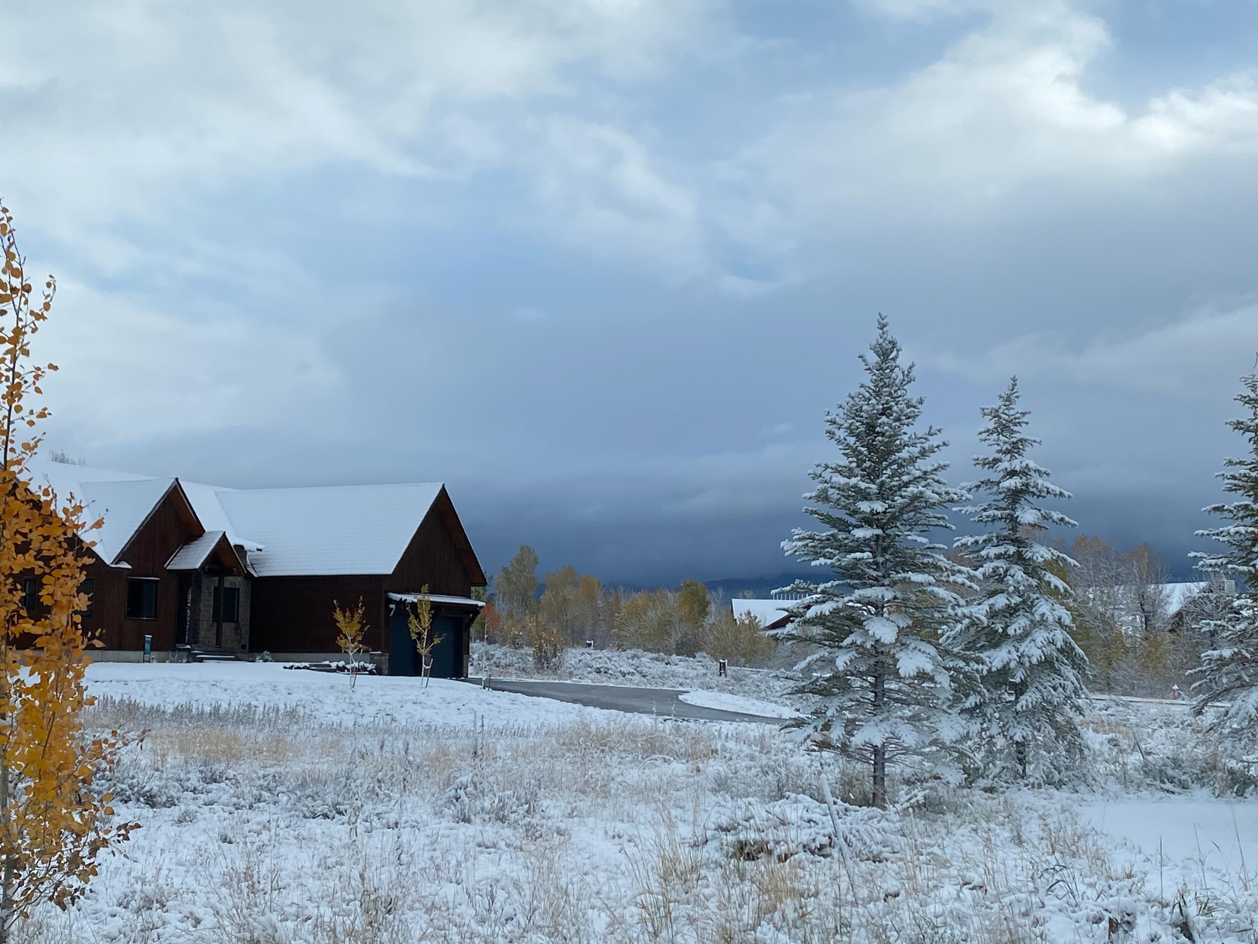 view from living room