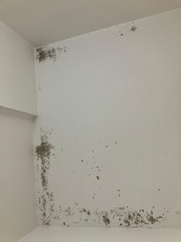 Mold on bathroom ceiling
