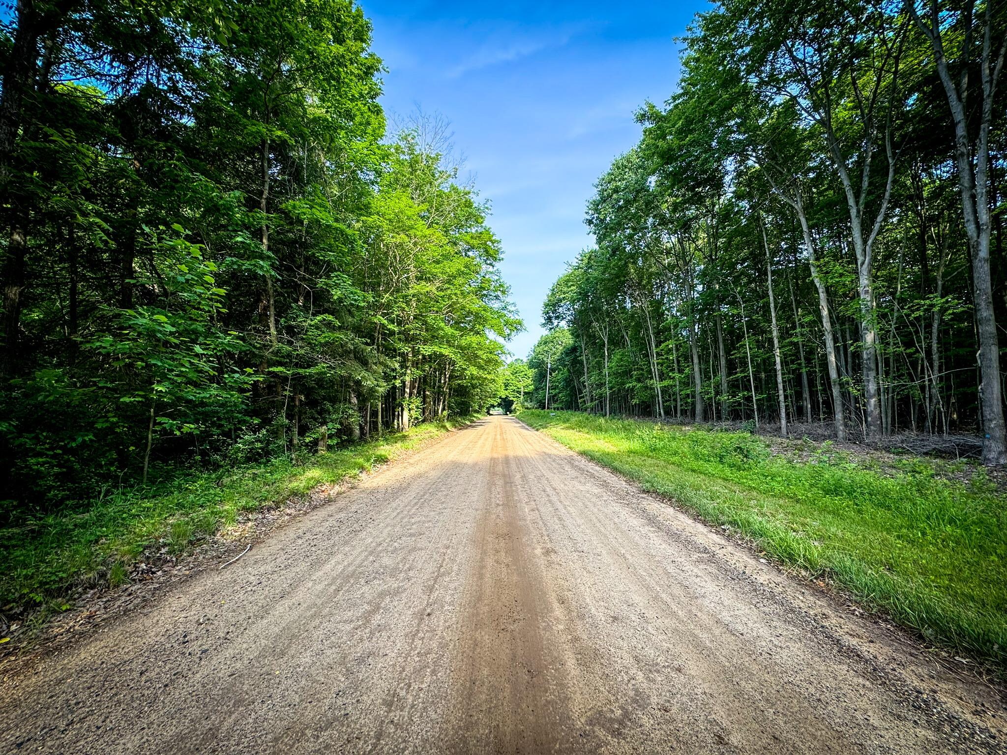 Morning run view from the house. 