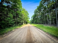 Morning run view from the house.