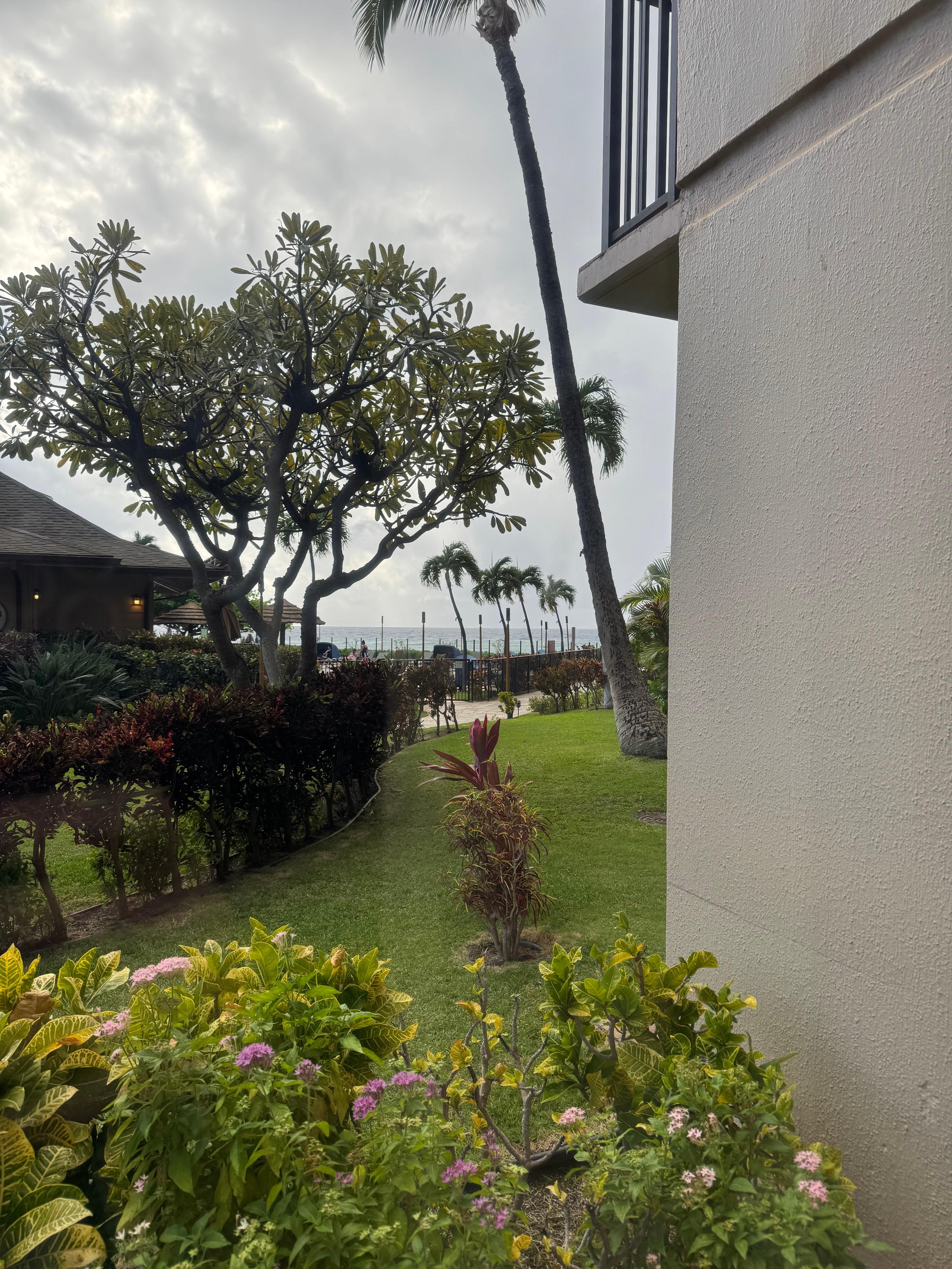 From the bedroom window