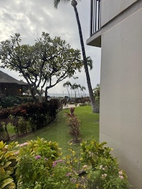 From the bedroom window