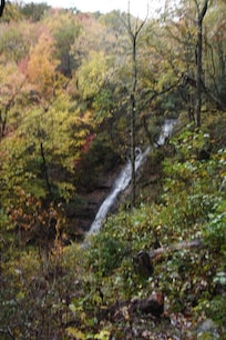 Waterfall on property