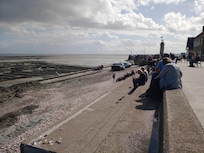 Au marché aux huîtres, on les mange et on jette les coquilles vers la mer, ça fera du sable