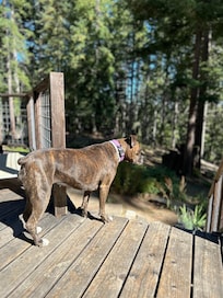 On the deck