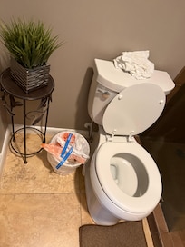 Primary bathroom