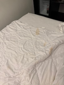 Stained comforter