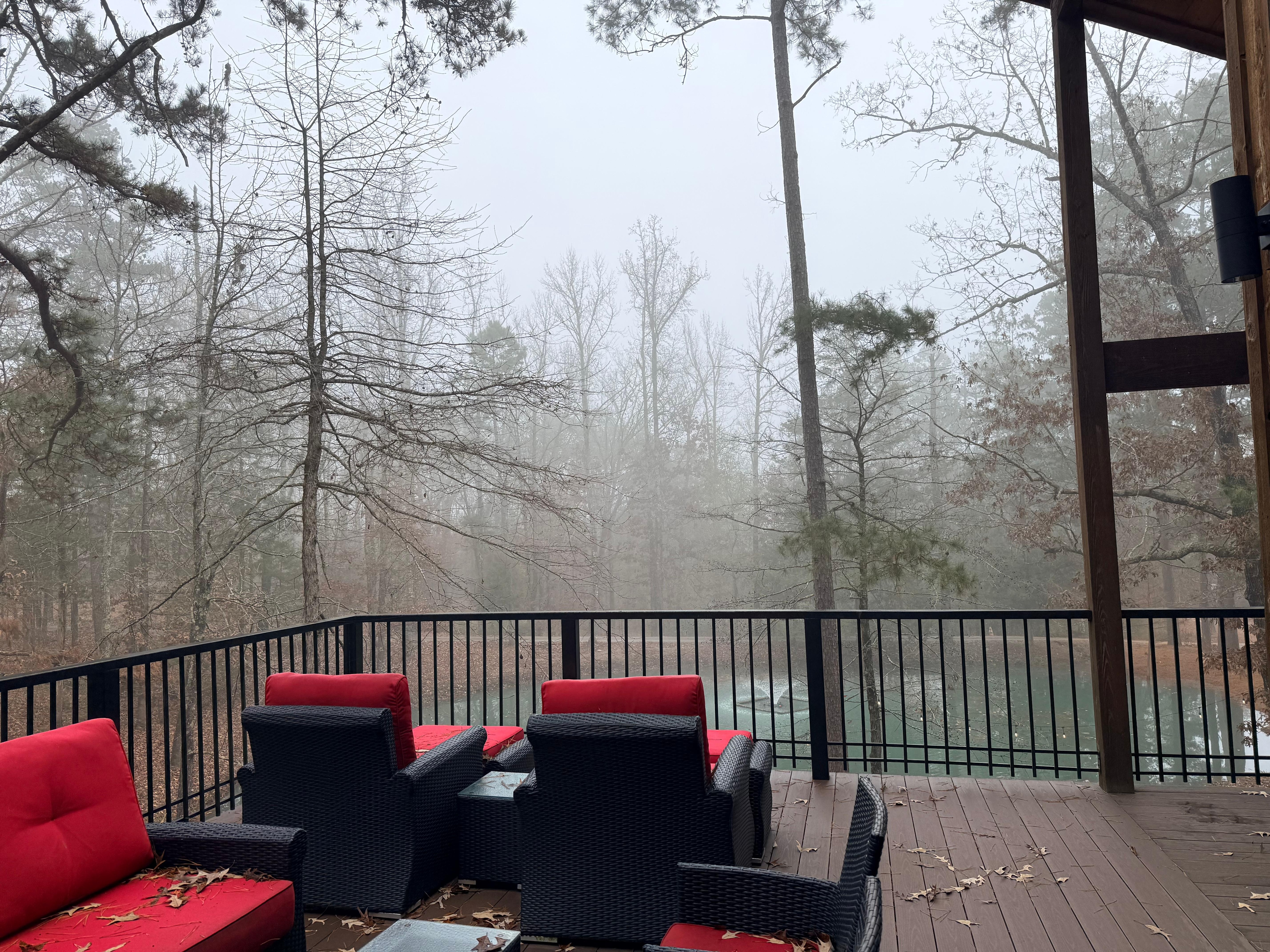 Beautiful foggy morning!