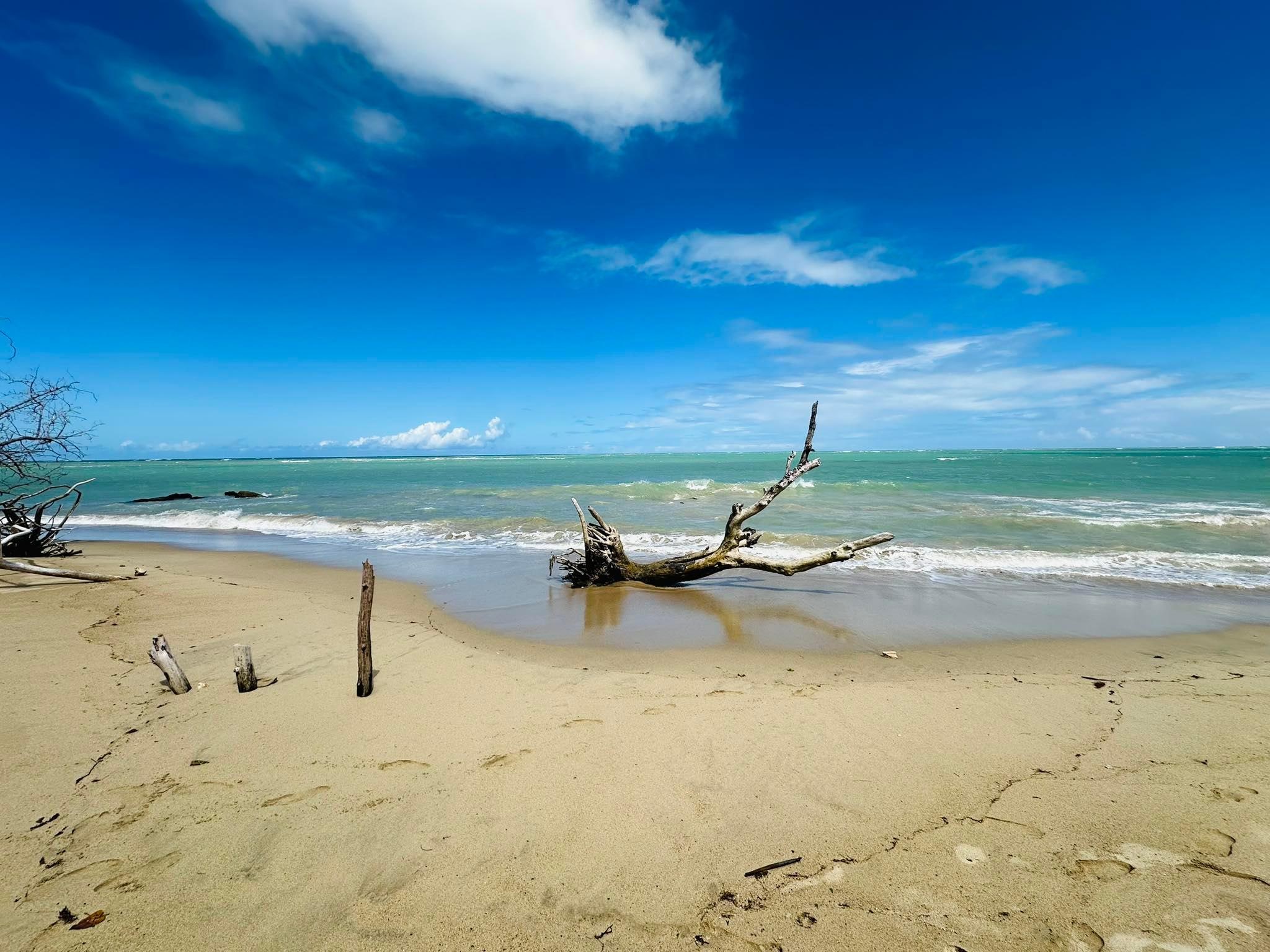 Image of the beach just steps from the condo!  Very convenient and we had it all to ourselves almost every day!