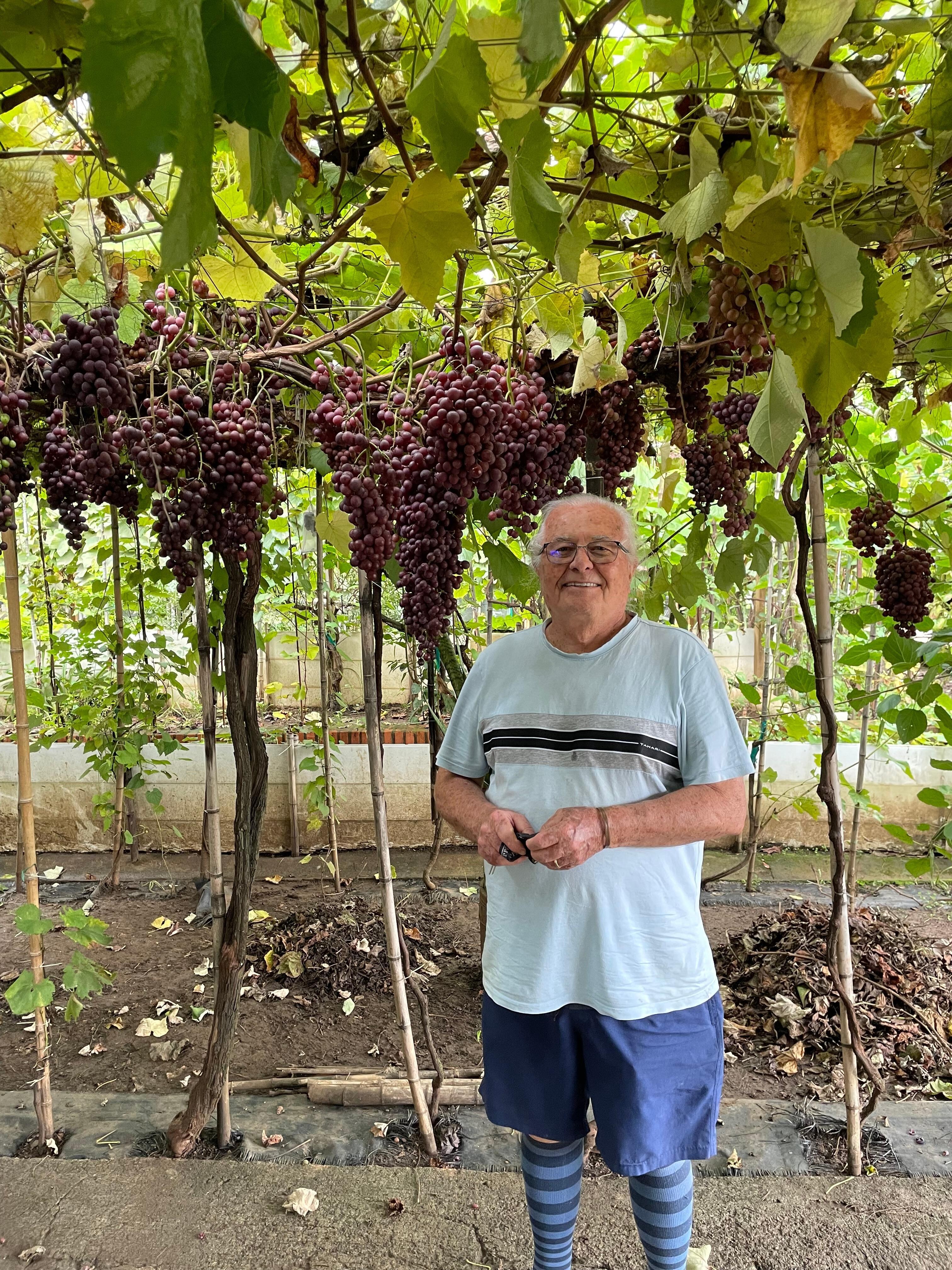 Vitis Vidor, the local vineyard