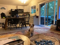 Cabin with happy pup
