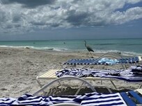 Beach chairs and towels provided