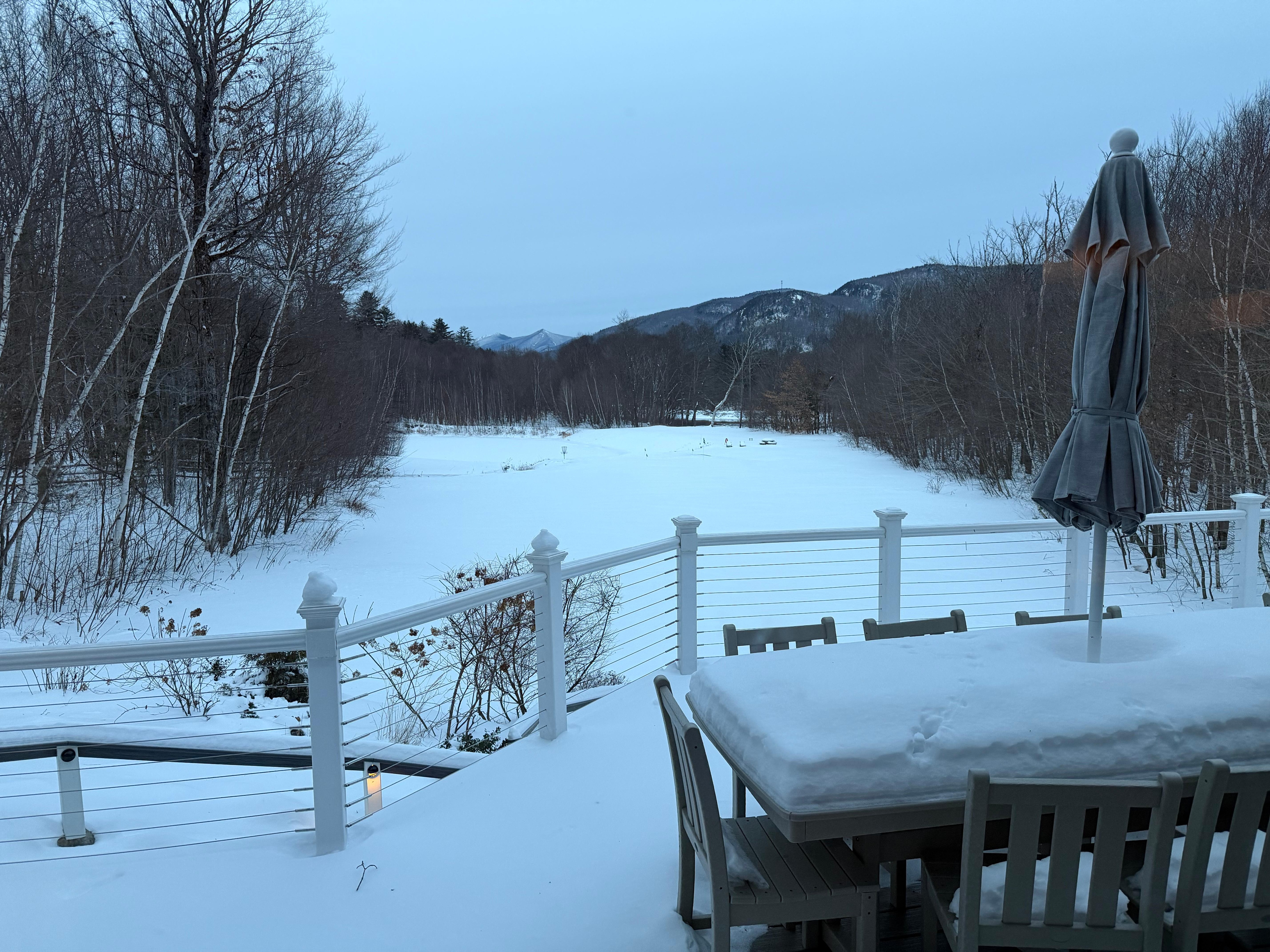Back yard view from living room