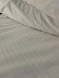 stains on bedding