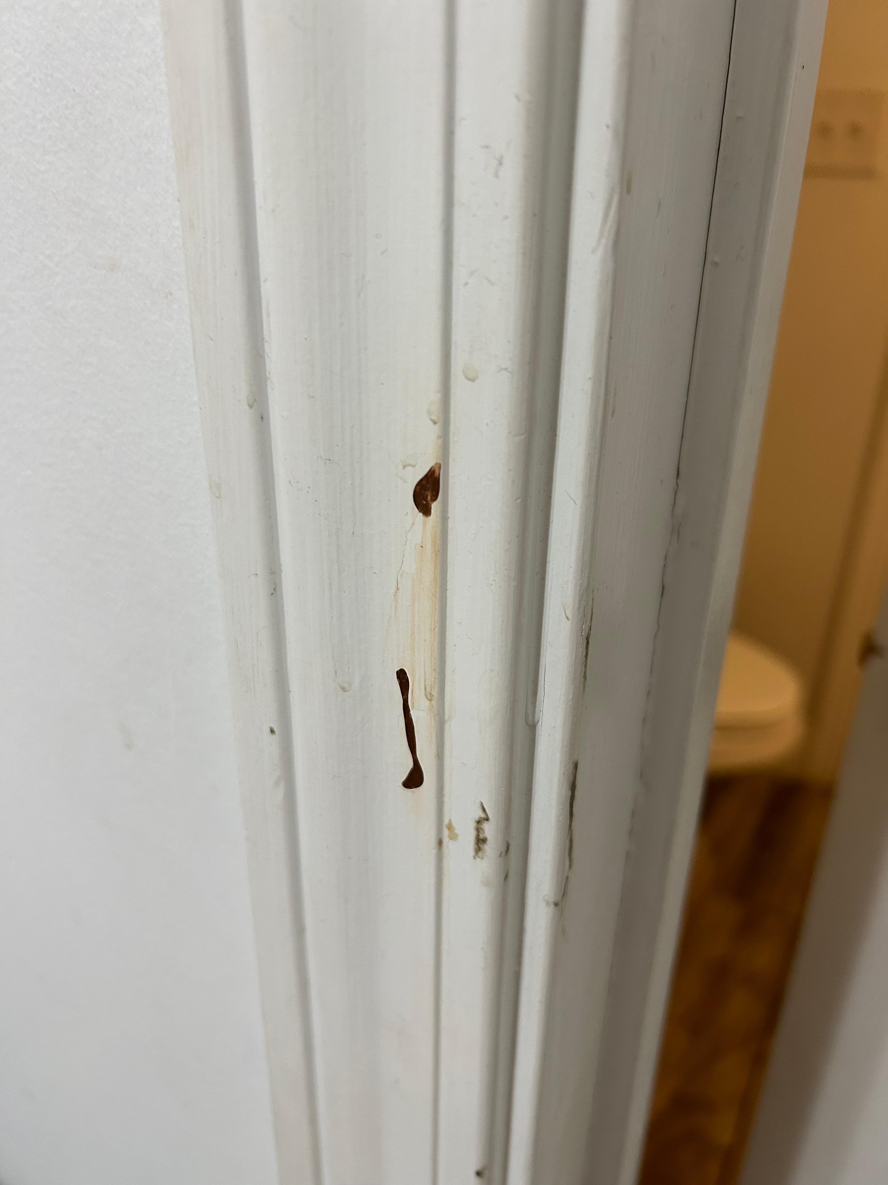 Blood or who knows what on wall 