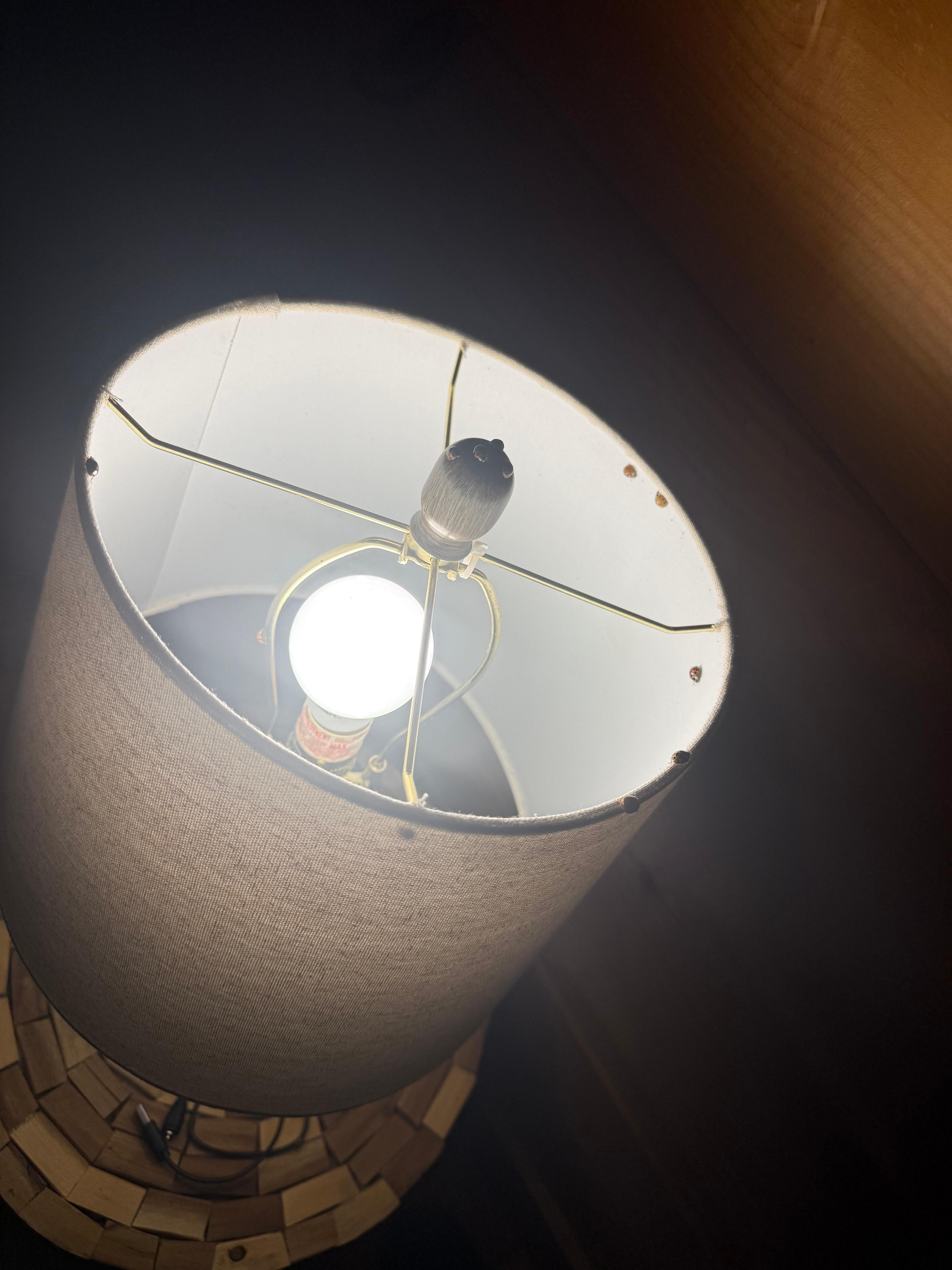 A few hours after removing bugs they were back