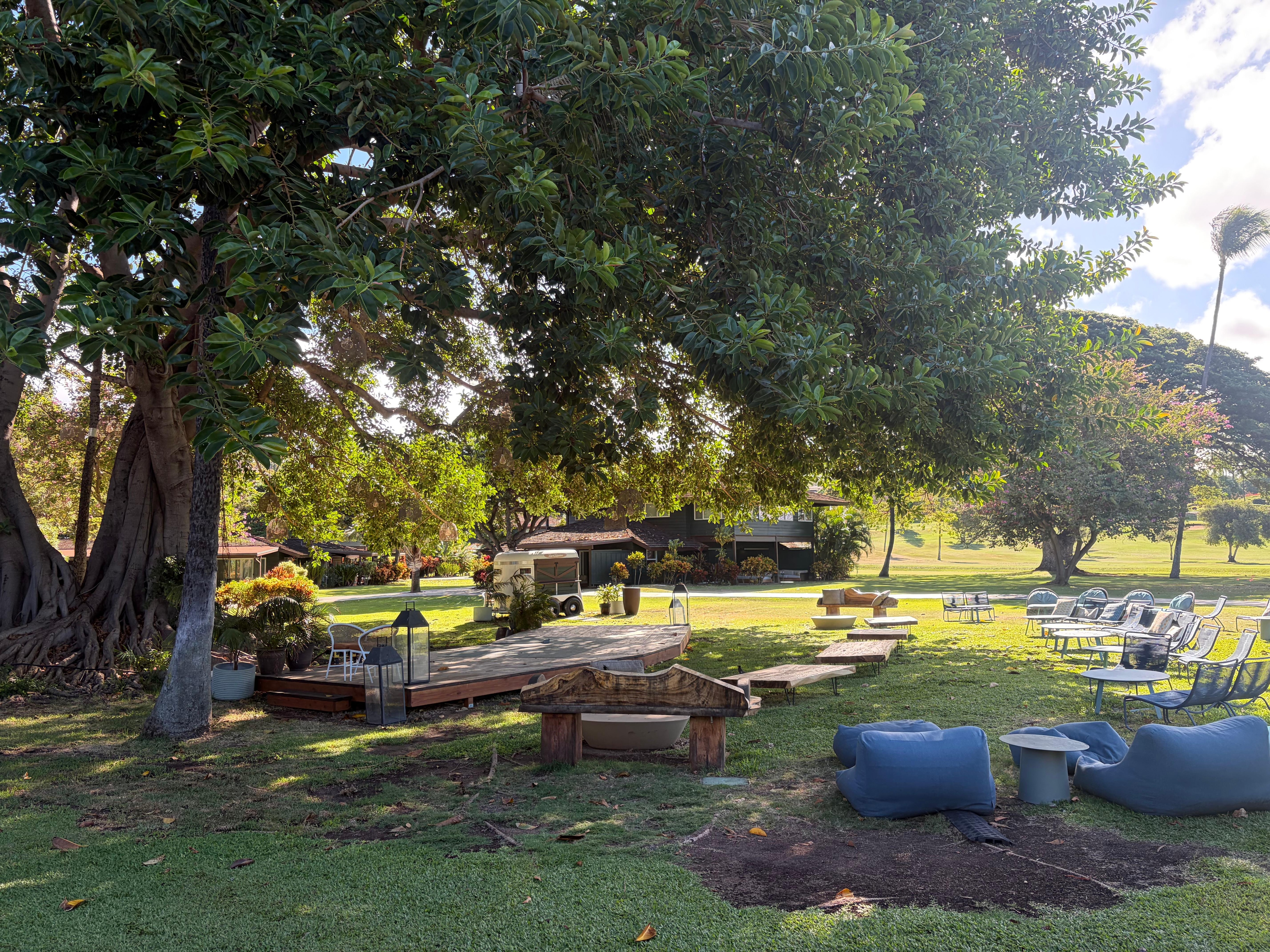 Very nice mellow singer at night 