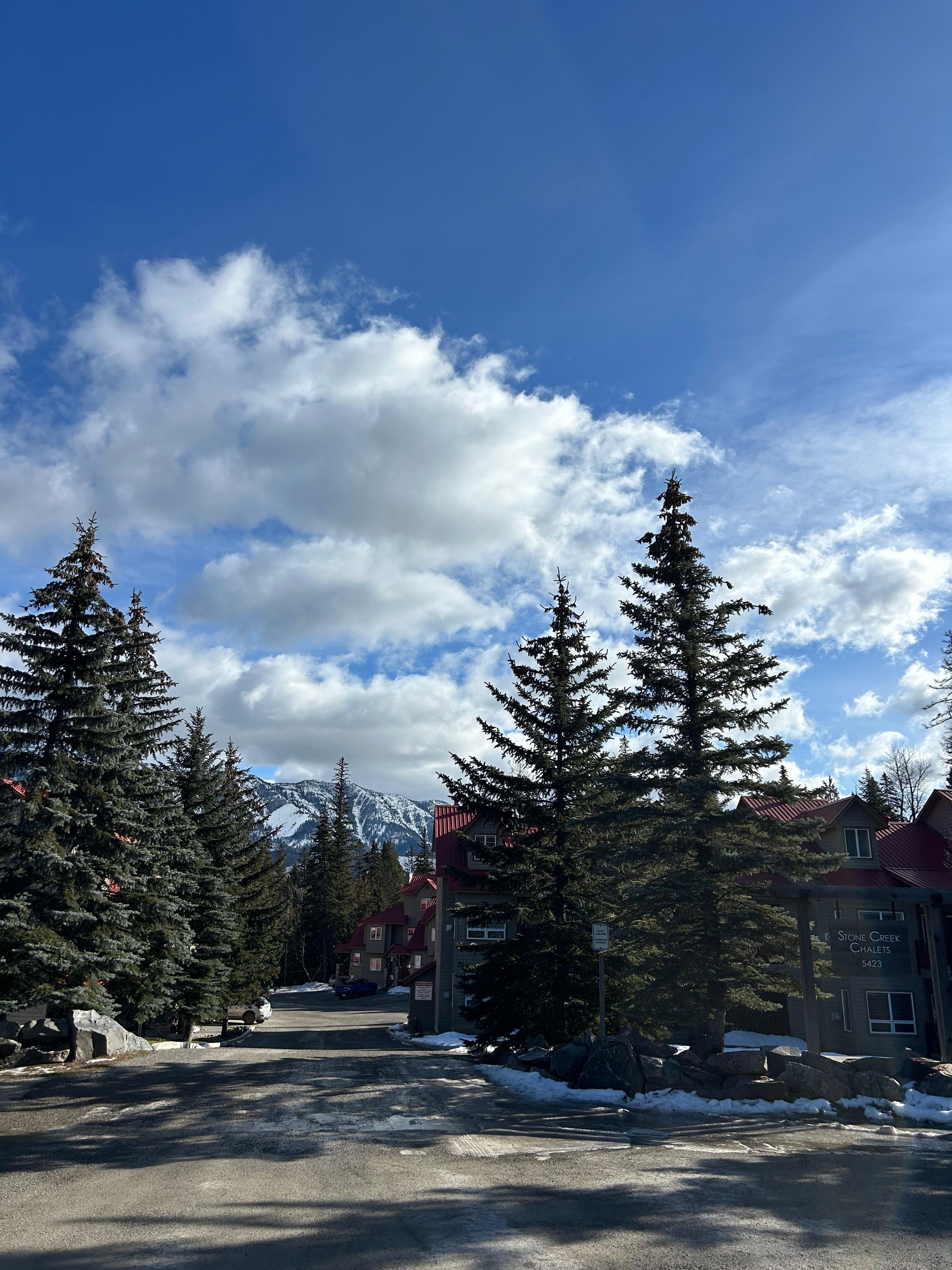 Driveway to Stone Creek Chalets
