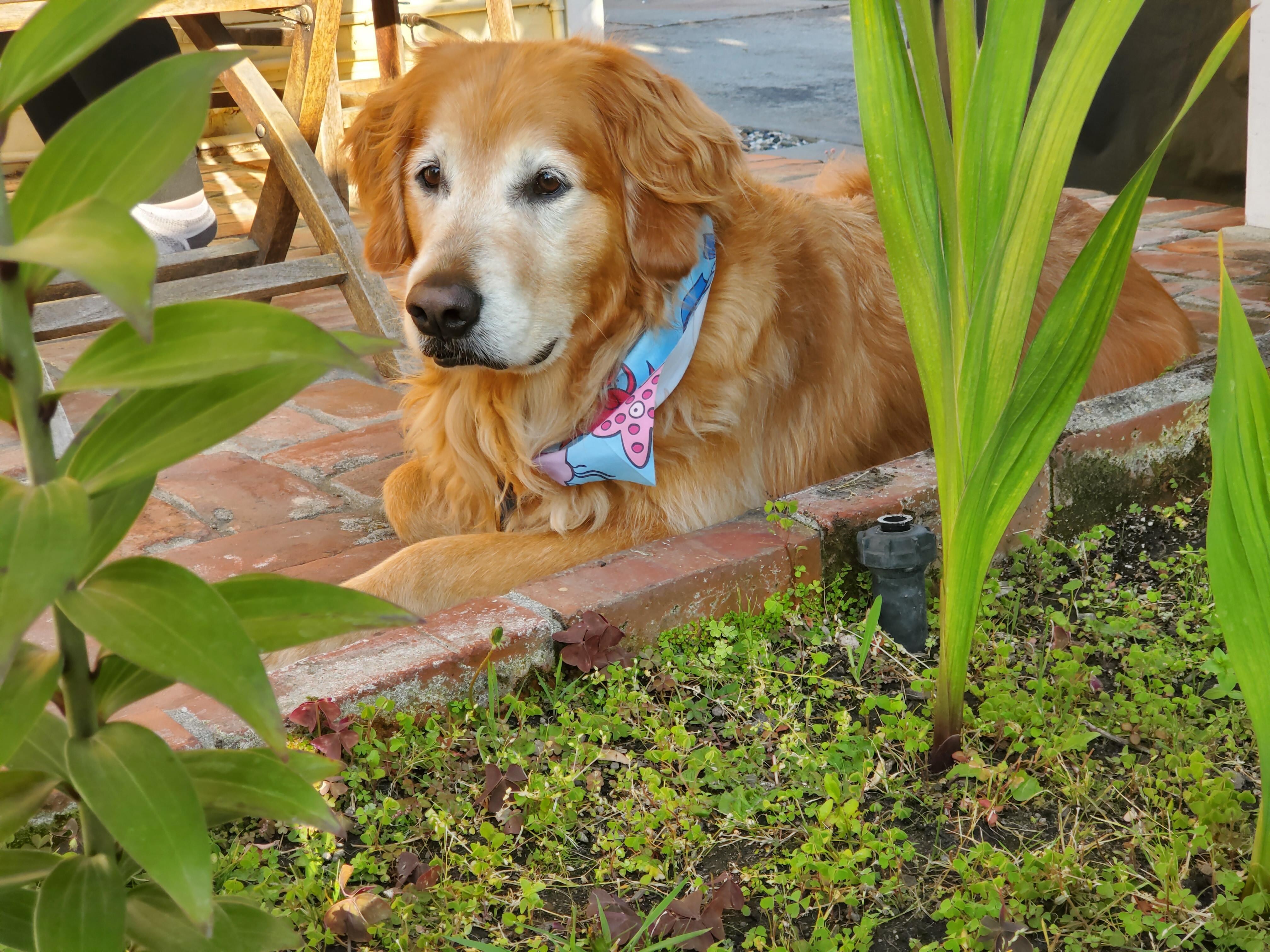 Enjoying the view from the back patio 