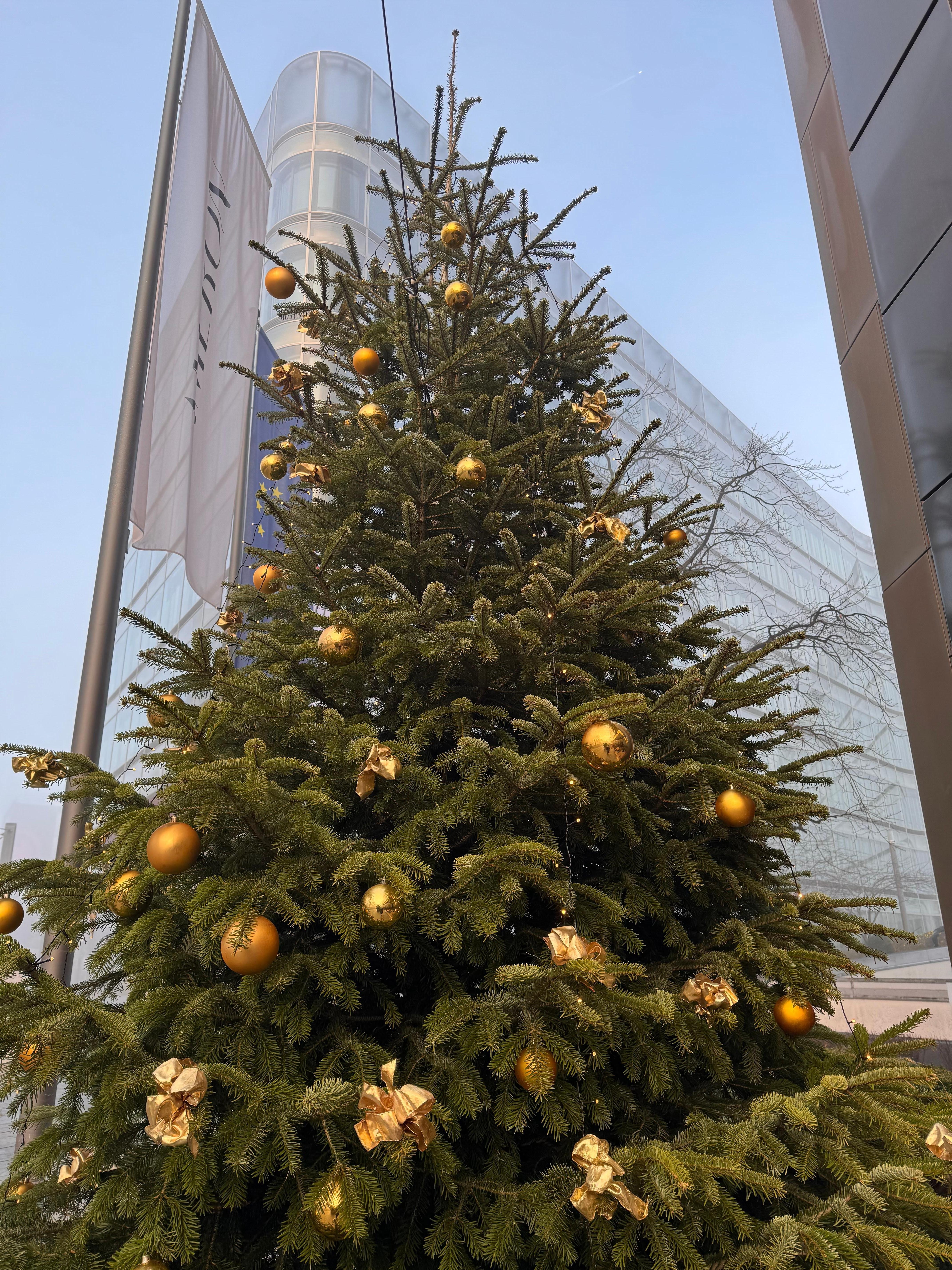 Festlich geschmückt 