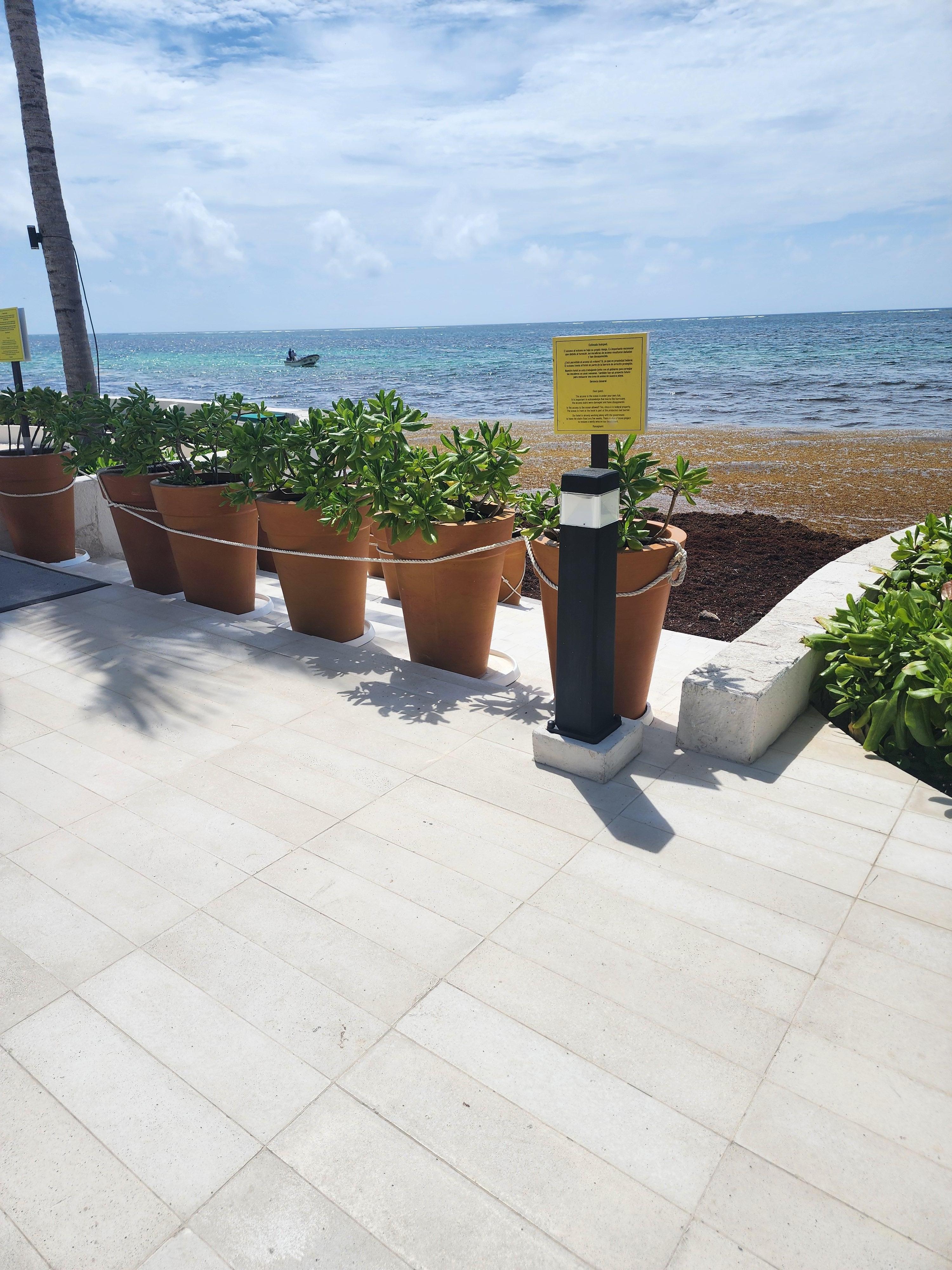 You can't even get to the beach they have it blocked off.
