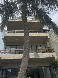 Rear of the guest house