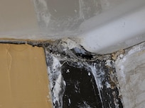 The gaping hole in the bathroom hidden by the shower curtain that's big enough for snakes & rodents to come in through. I didn't see this until our last day because, well.... it was hidden by the shower curtain part that you didn't move. Until I did.