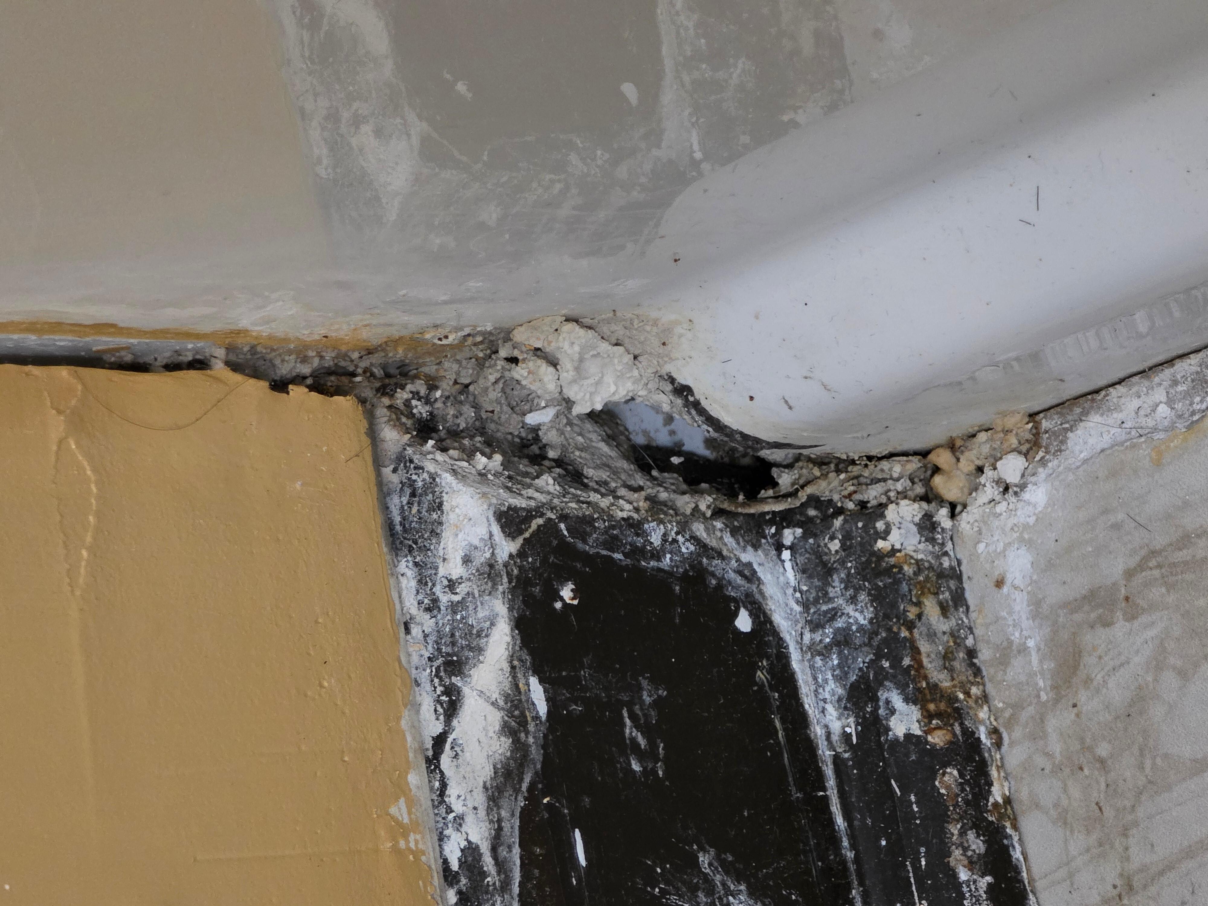 The gaping hole in the bathroom hidden by the shower curtain that's big enough for snakes & rodents to come in through. I didn't see this until our last day because, well.... it was hidden by the shower curtain part that you didn't move. Until I did.