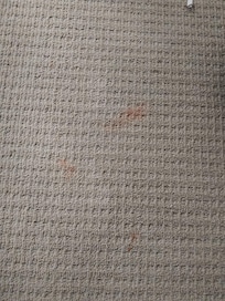 Carpet in the bedroom