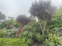 Lovely gardens