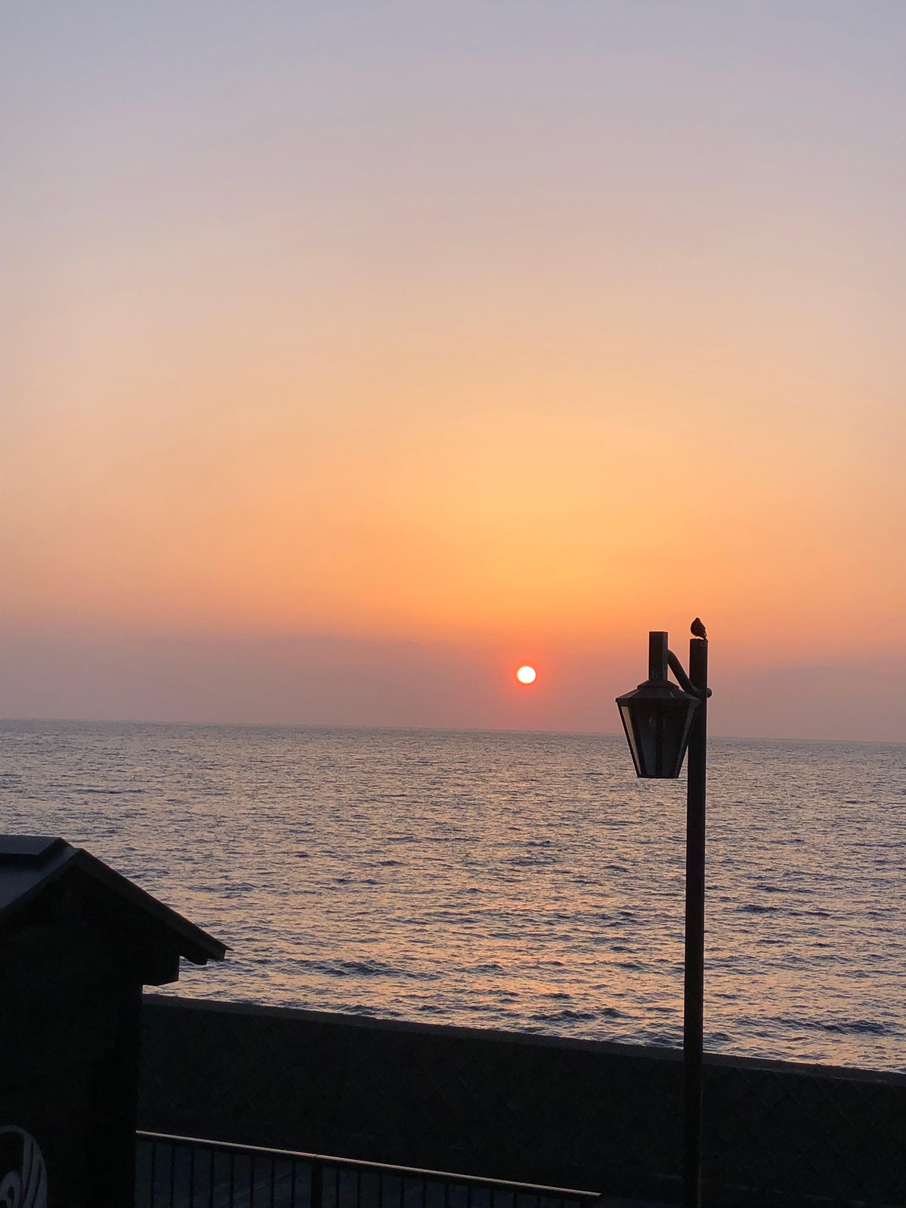 早起きして、日の出を見ました。