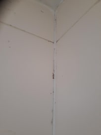 Black mould in shower.