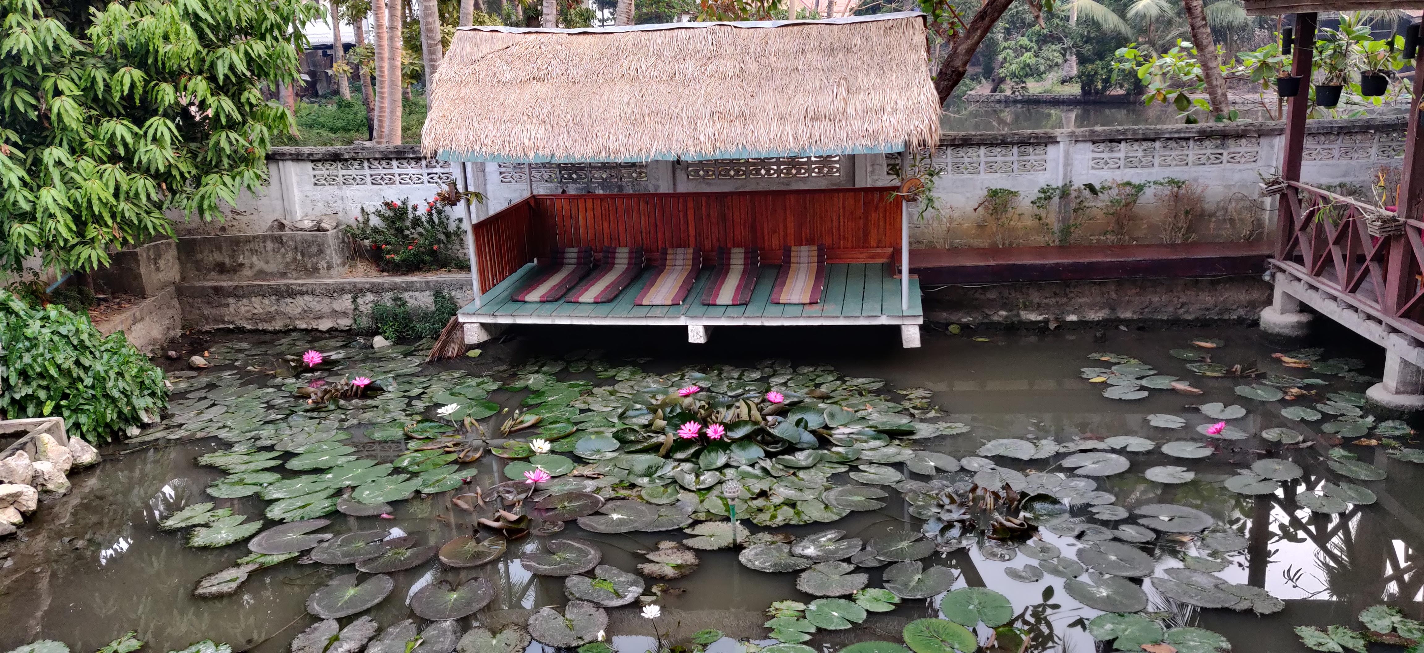 Nice relaxing pond area