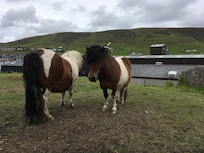 Scalloway