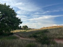 Devil’s Backbone Nature Trail