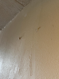 Pictures were missing