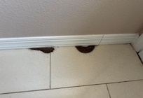 In the office right on the left side of the backyard door.