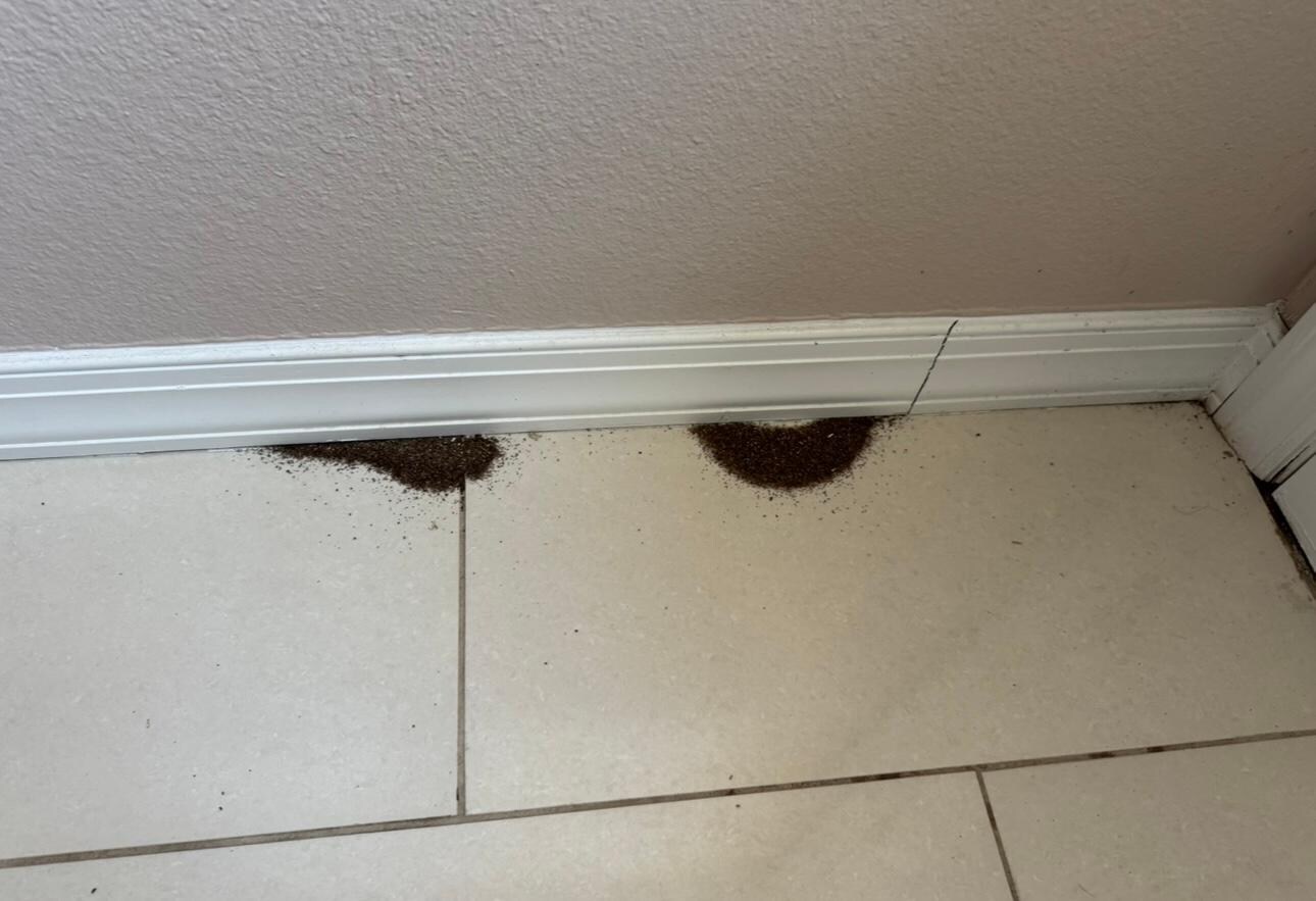 In the office right on the left side  of the backyard door. 