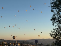 From the terrace