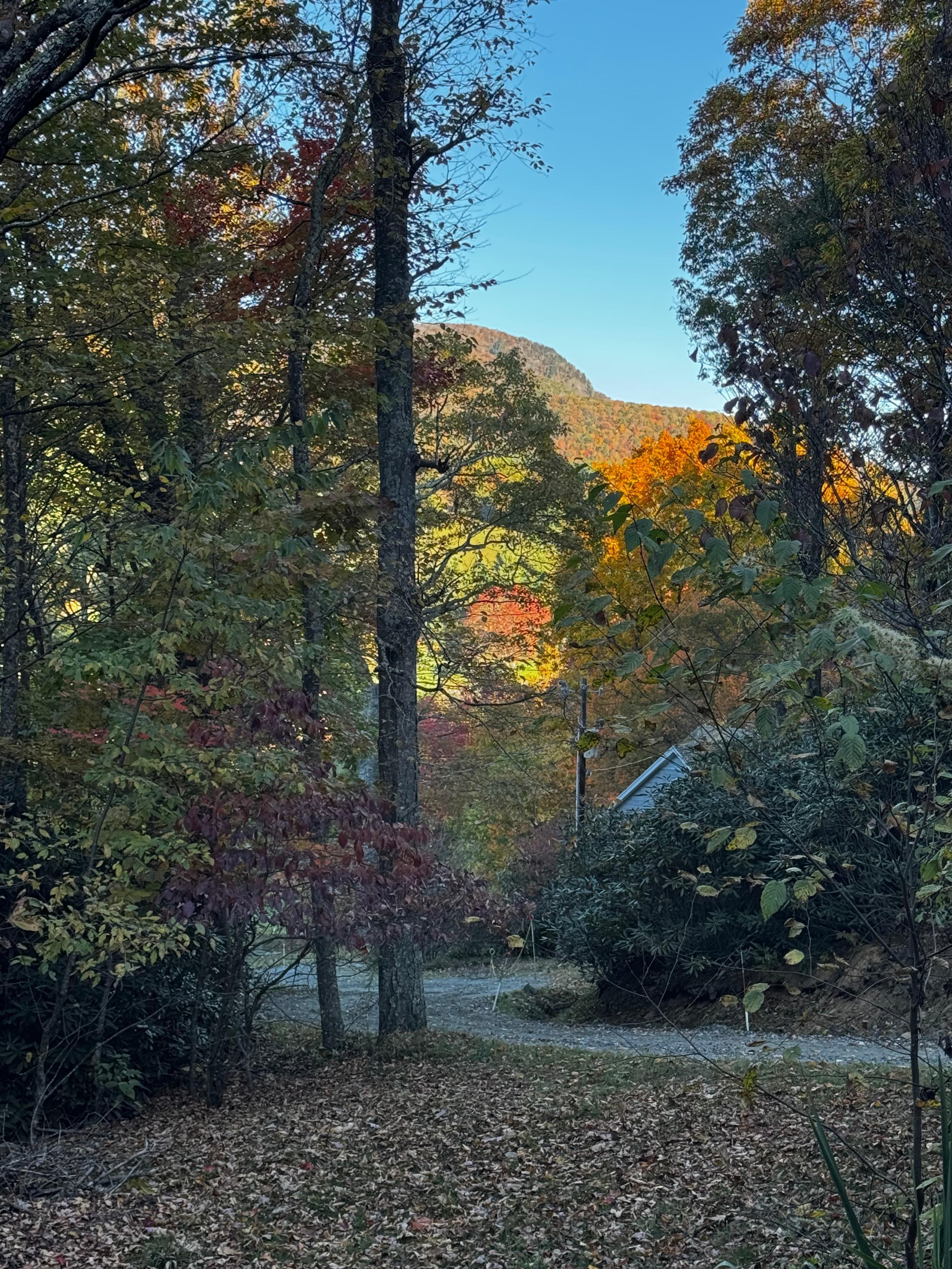 View from the front door