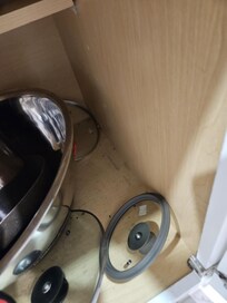 Rodent droppings