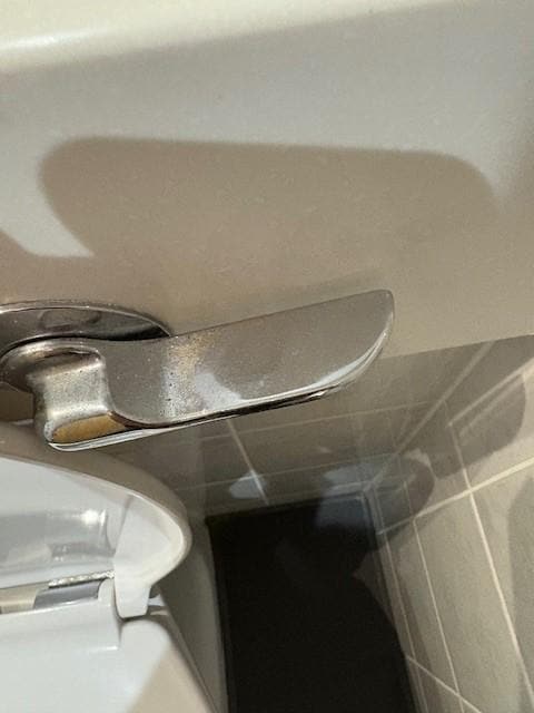 The handle on the toilet was dirty and needs replacing