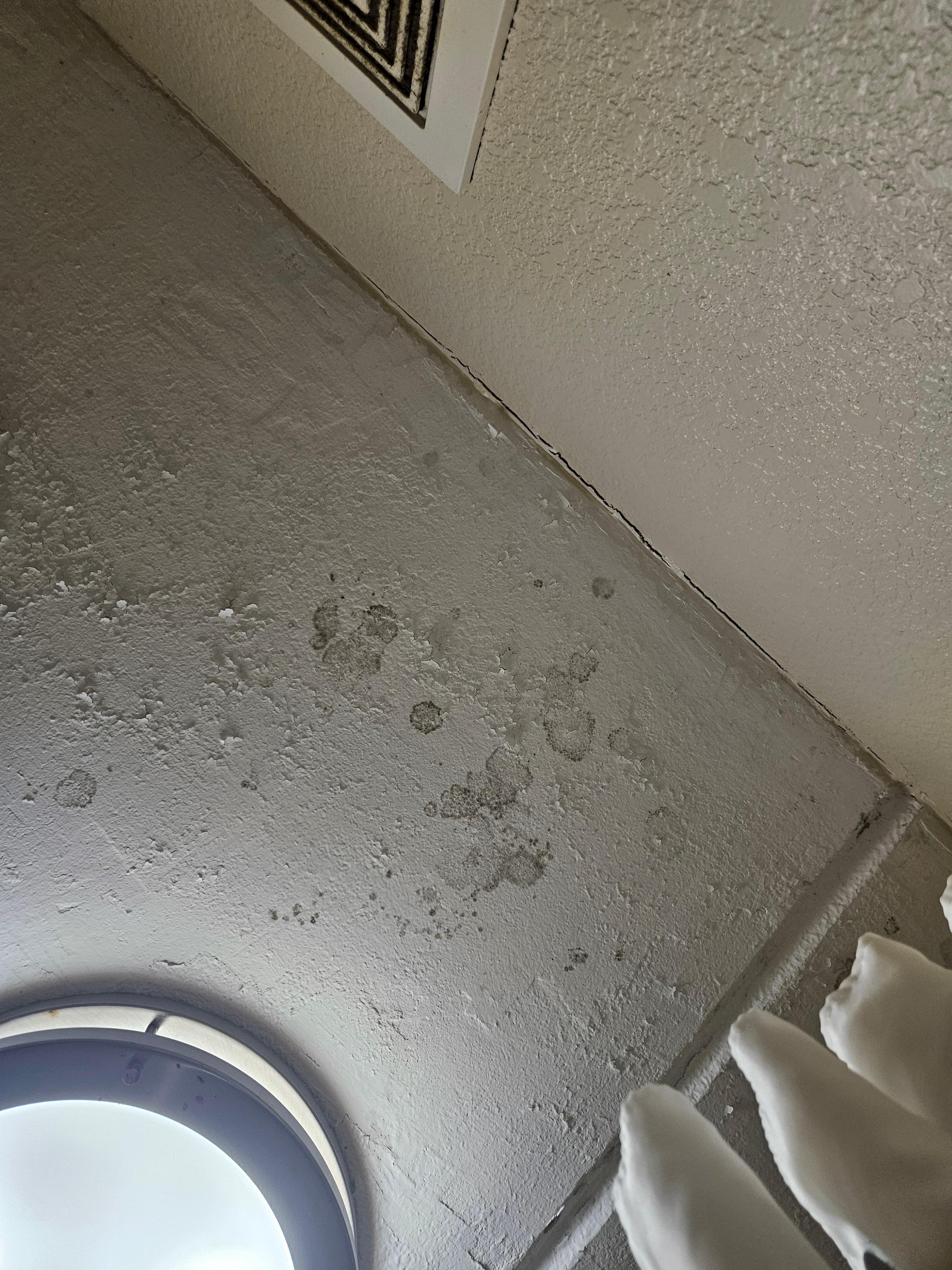 Moldy ceiling