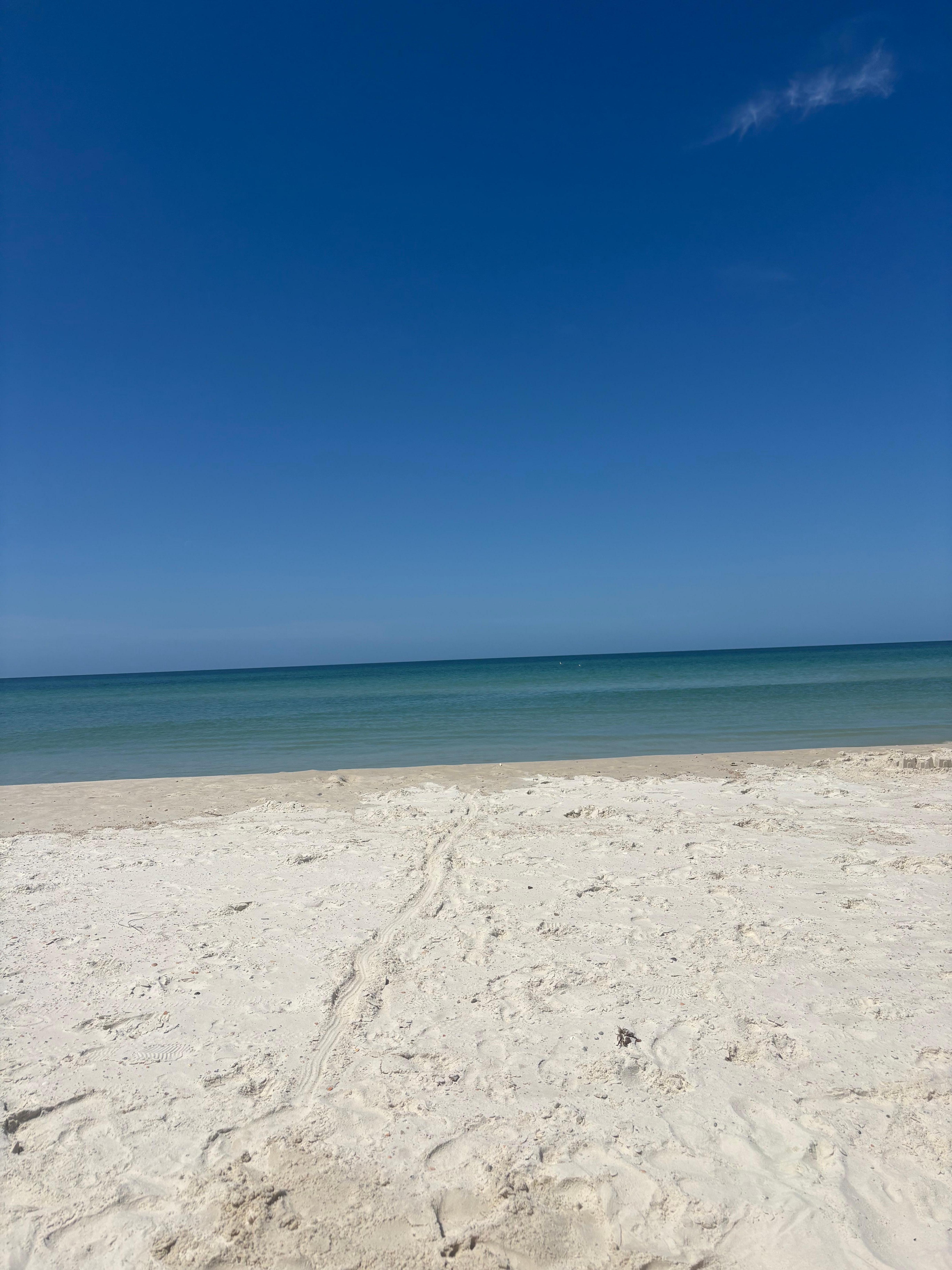 The beach is truly amazing! 