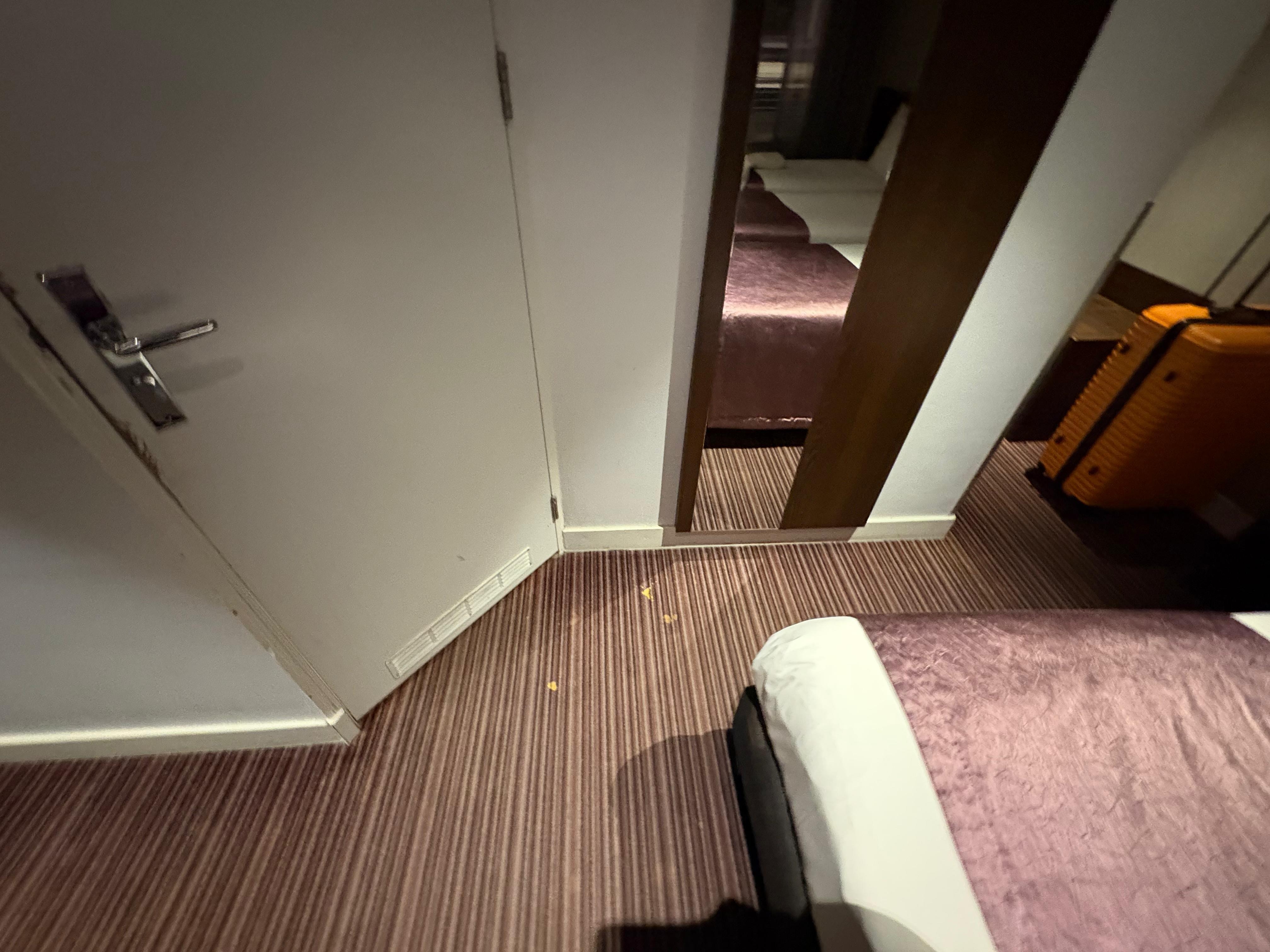 Stains all over the carpet.