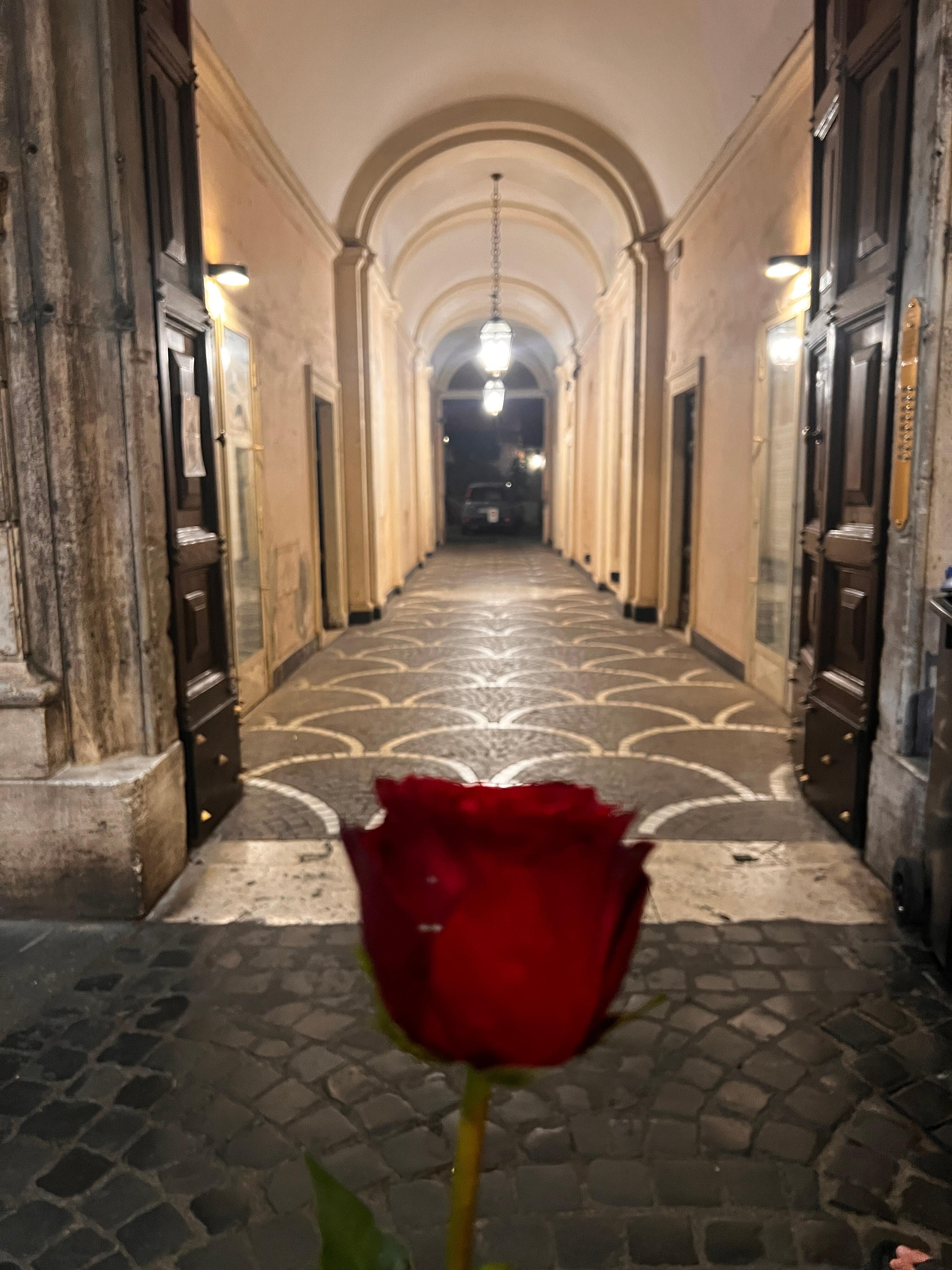 Beautiful entrance